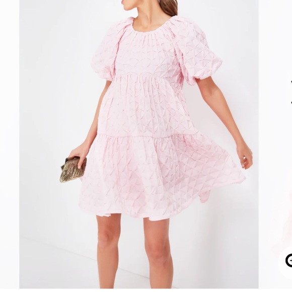 Tuckernuck hyacinth House pink Diamond Textured Isabella mini dress Size L NWT - Picture 4 of 12